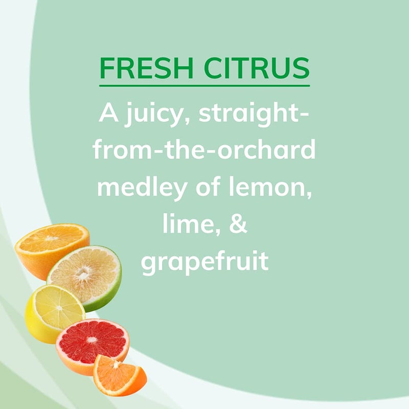 Citrus Magic Odor Absorbing Solid Air Freshener, Fresh Citrus, 8-Ounce, Pack of 6 - Image 3